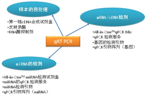 RT-PCR的原理是什么有何用途