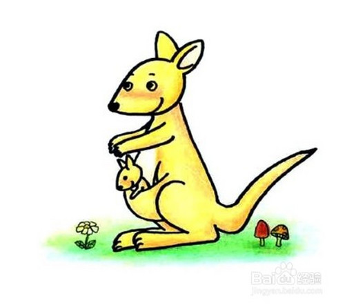 怎么画出带孩子的袋鼠?