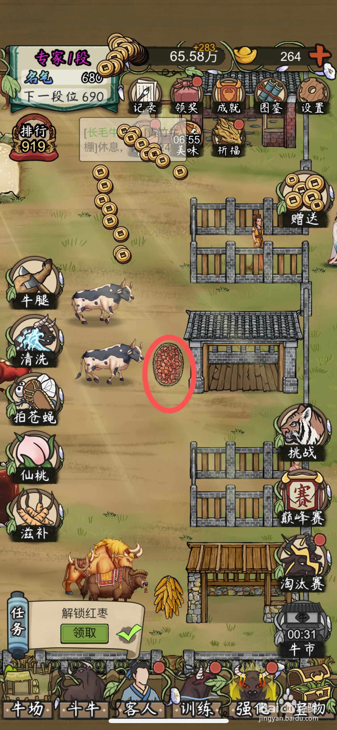 叫我养牛王怎么给牛场使用红枣草料