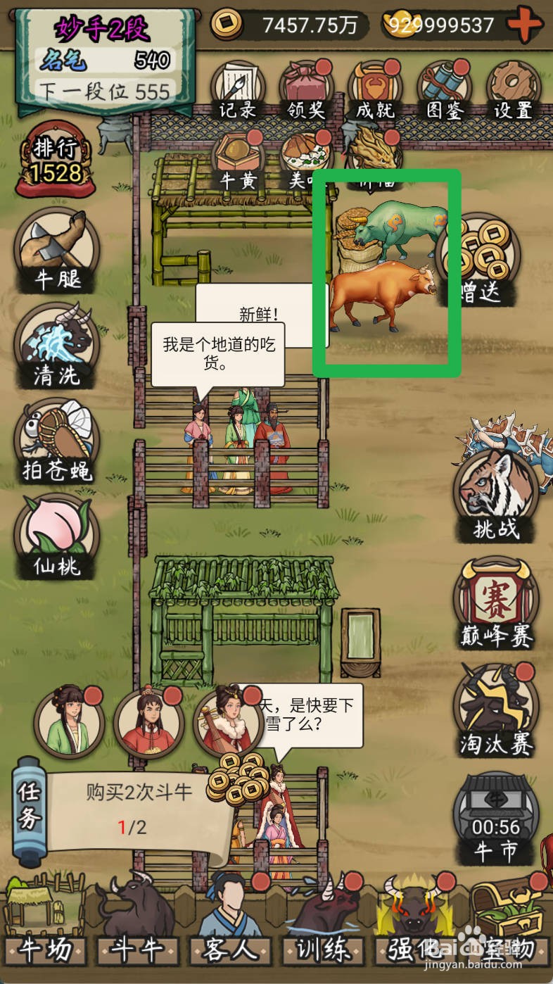 叫我养牛王如何购买害怕过年的黄牛