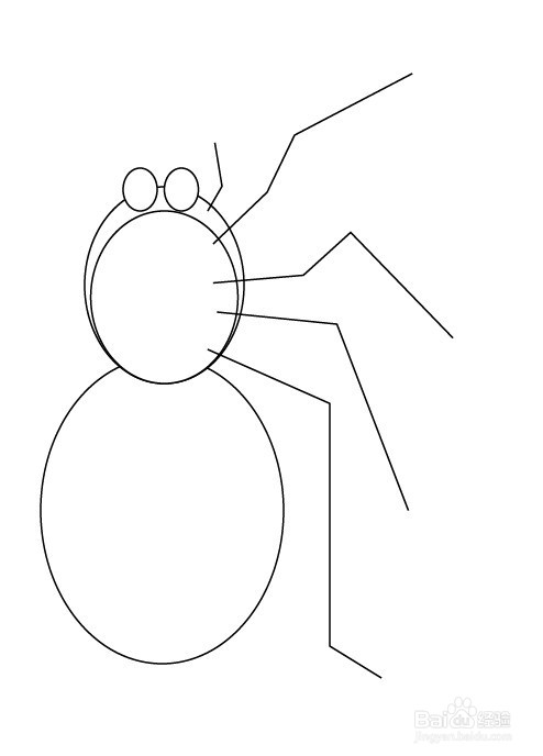 ai如何绘制一只花蜘蛛的教程