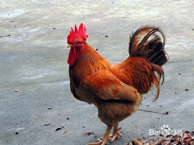 怎样减肥有点用