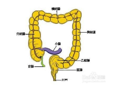 结肠炎的症状及治疗