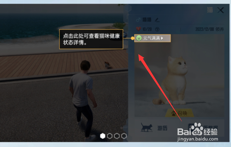 和平精英家园怎么养猫