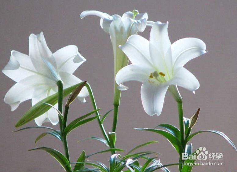 关于国家司法考试的几点常识