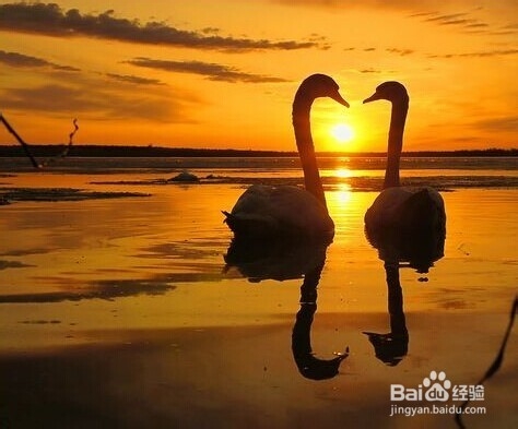 爱情治愈-爱情中出错方如何走出来