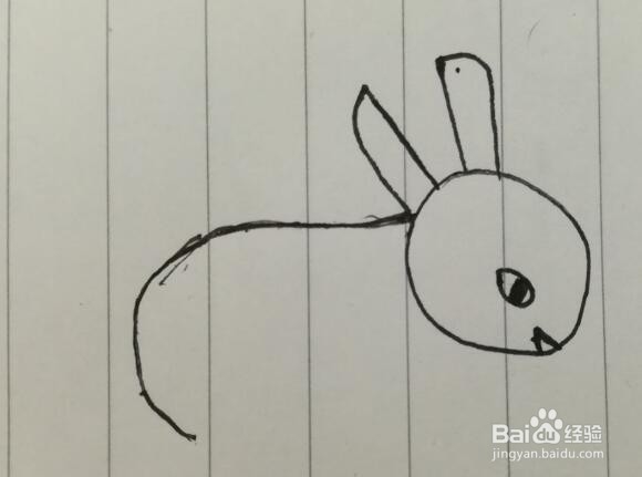 如何画一只小兔