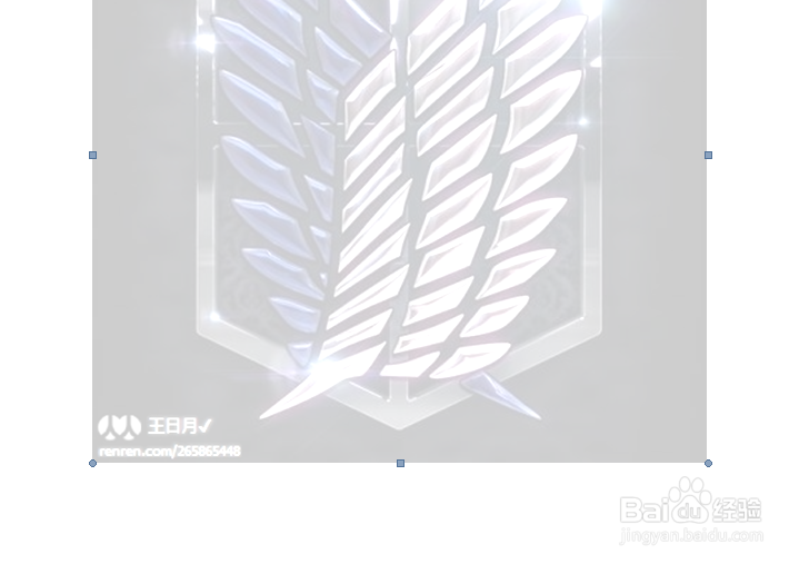 如何在word中设置不同的水印