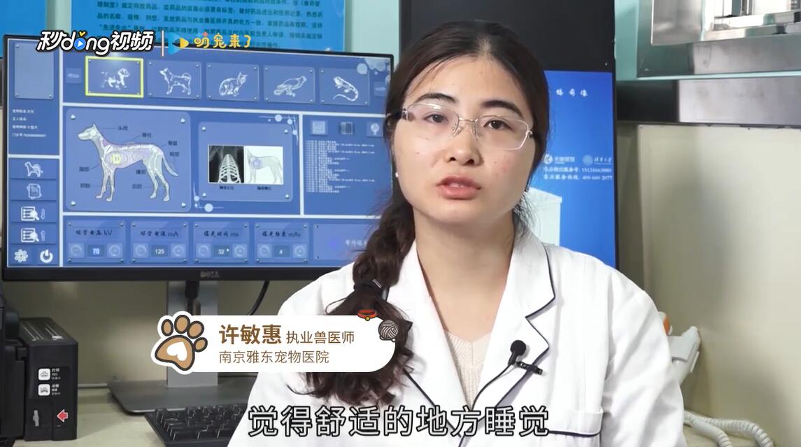 冬天养猫要注意什么问题