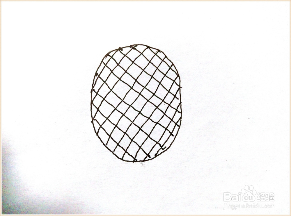 简笔画——菠萝