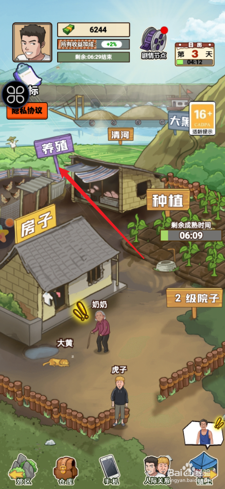 我的乡村生活如何将鸡出售给鸡贩子