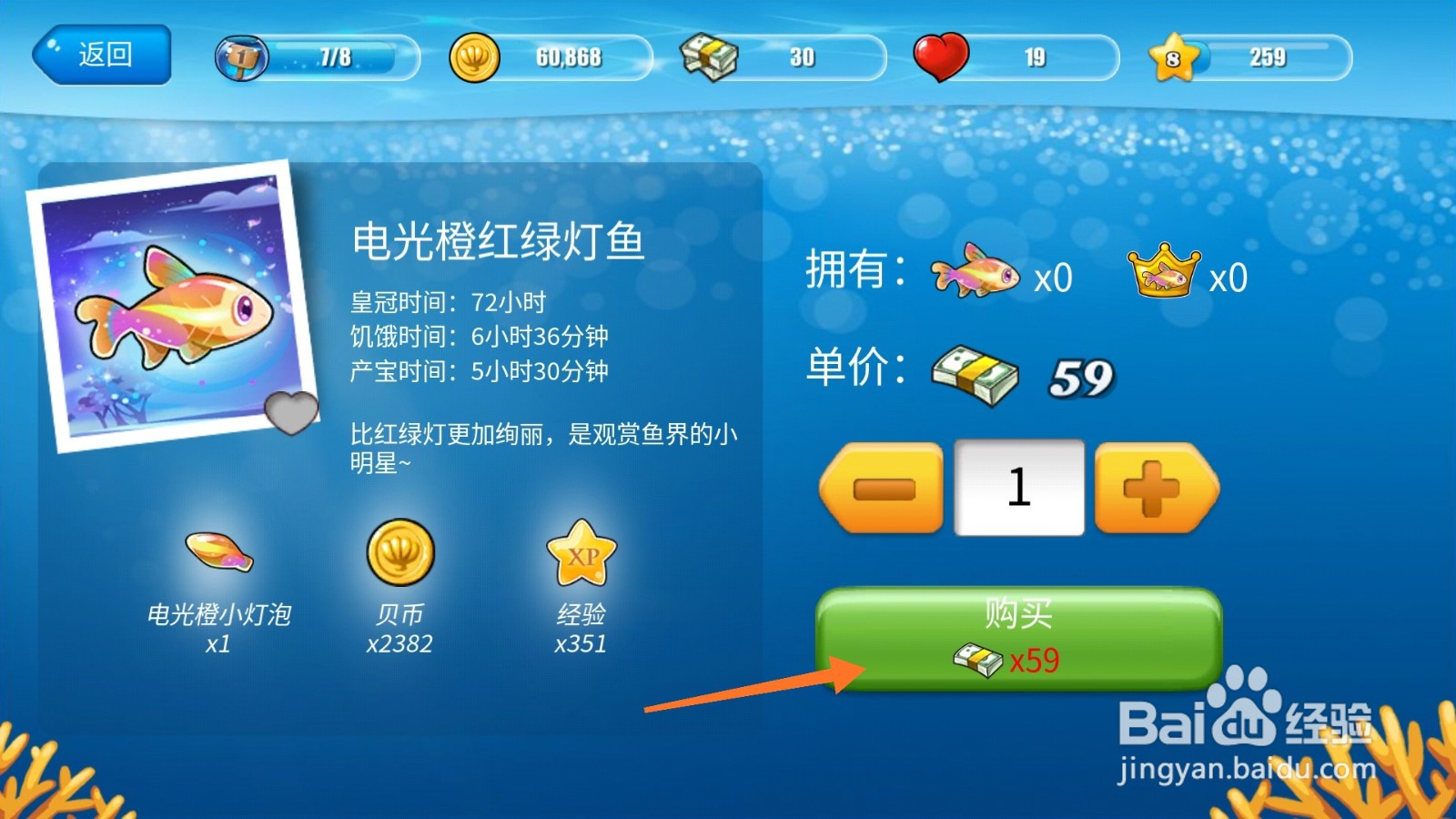 开心水族箱中怎么购买电光橙红绿灯鱼