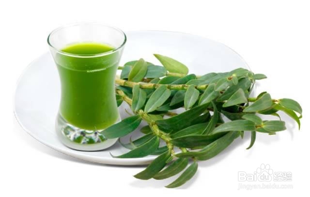 铁皮石斛怎么吃才好(含食用方法)