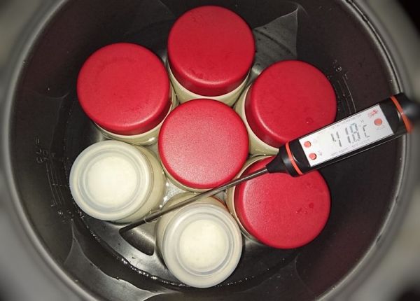 蓝莓酸奶冰淇淋