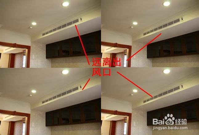 转运竹的养殖方法和注意事项