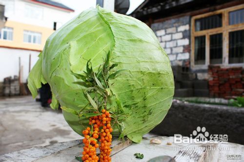国庆长假我的川西行