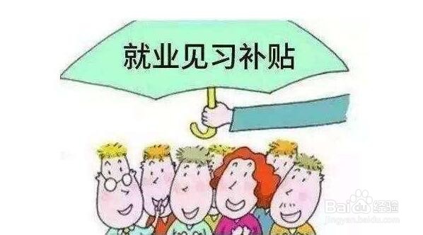 河南省大学生就业见习相关主要政策梳理