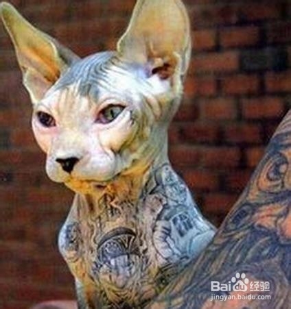 遗传性疾病不能轻视，一旦出现后果严重