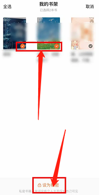 番茄小说如何将书架的书设置为私有