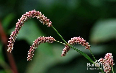 年轻人怎么创业的几个原则