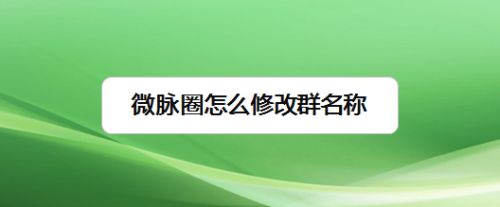 微脉圈怎么修改群名称