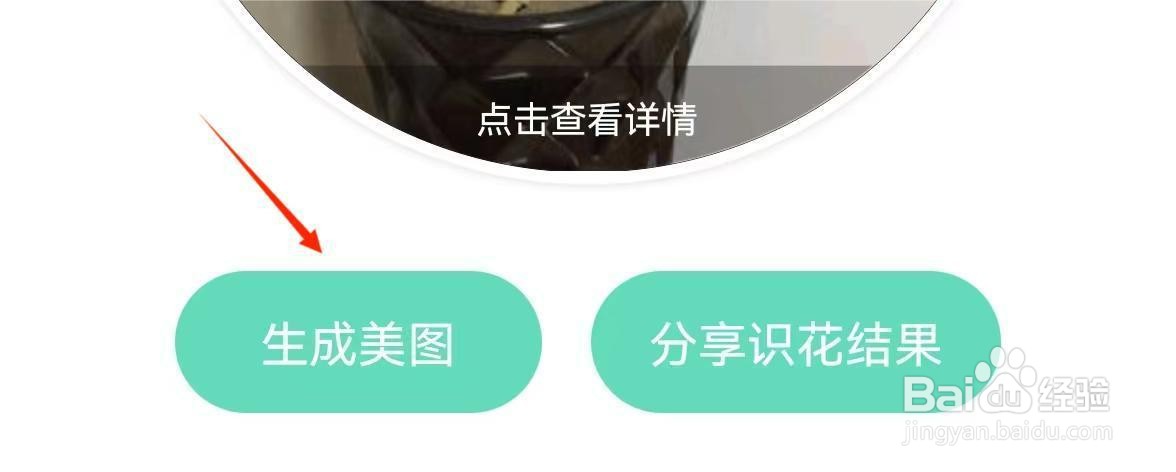 怎么使用形色APP拍照识花功能