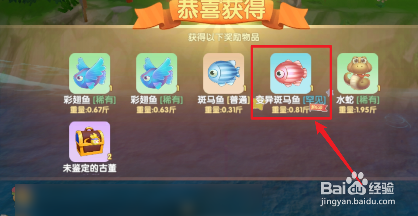 摩尔庄园变异斑马鱼在哪里可以钓到