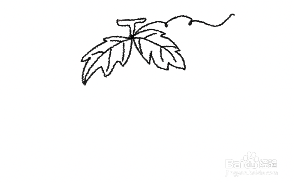 葡萄树叶子简笔画图片