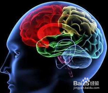 脏腑功能对常见疾病如腰酸腿疼的指导是怎样