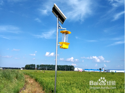 如何维护和保养太阳能杀虫灯