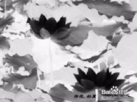 CorelDRAW制作水墨画效果