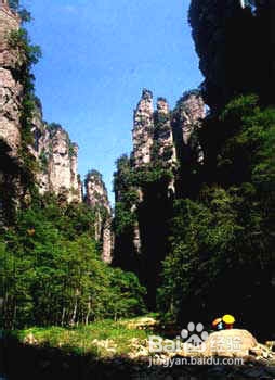 张家界自助游费用