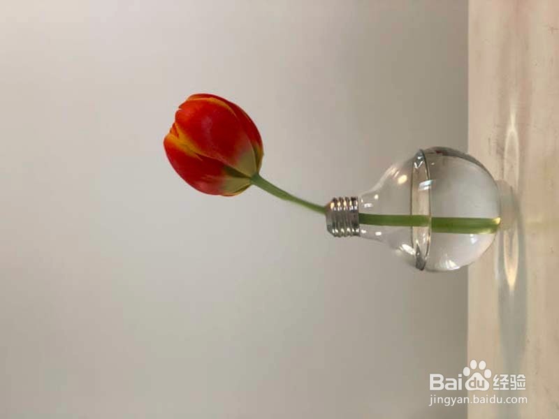 <b>怎用把家里坏掉的白炽灯变成花瓶</b>