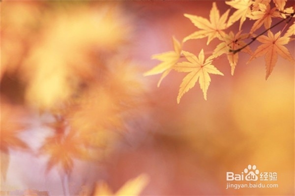 打耳洞要注意什么？