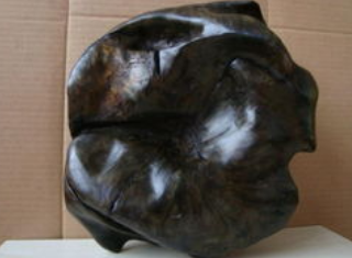 金丝楠乌木怎么看花纹?