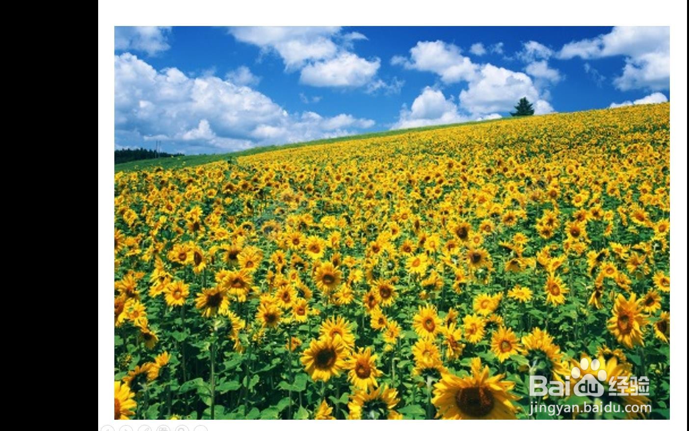 图片怎样制作幻灯片