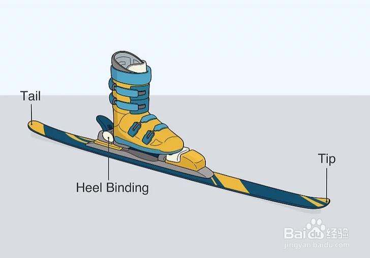 滑雪板怎么穿图解