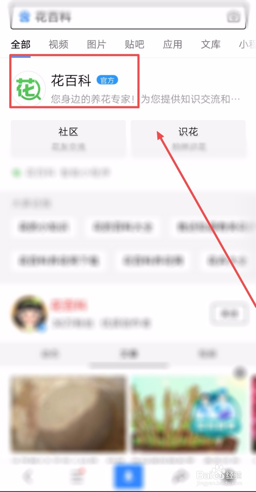 室外铜钱草怎么过冬