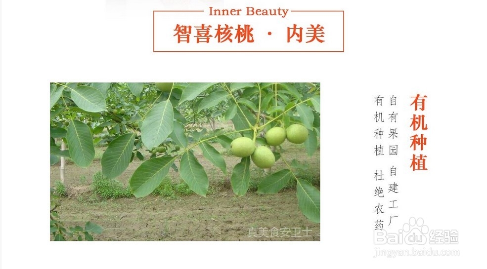 冬天来了,这些干果你吃了吗?