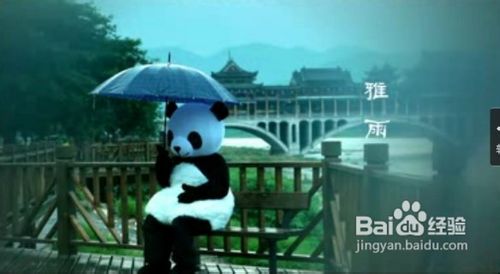 雅安地震之雅安回忆