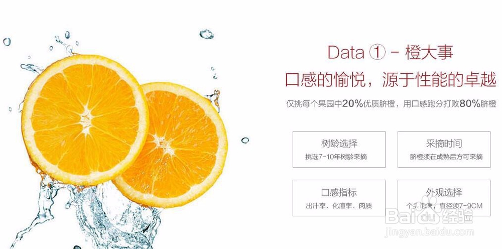 赣南脐橙怎么挑