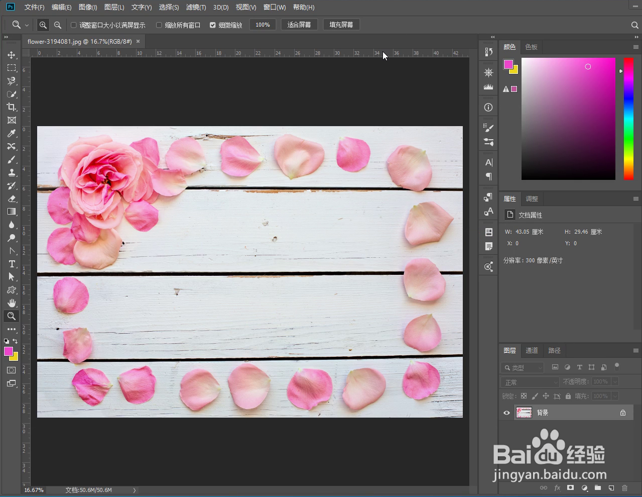 PS怎样制作花瓣画笔预设批量画花瓣