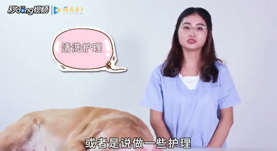 家里养狗怎么除异味