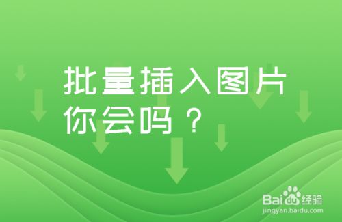 WPS如何批量插入图片