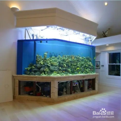 鱼缸水温过高怎么降温