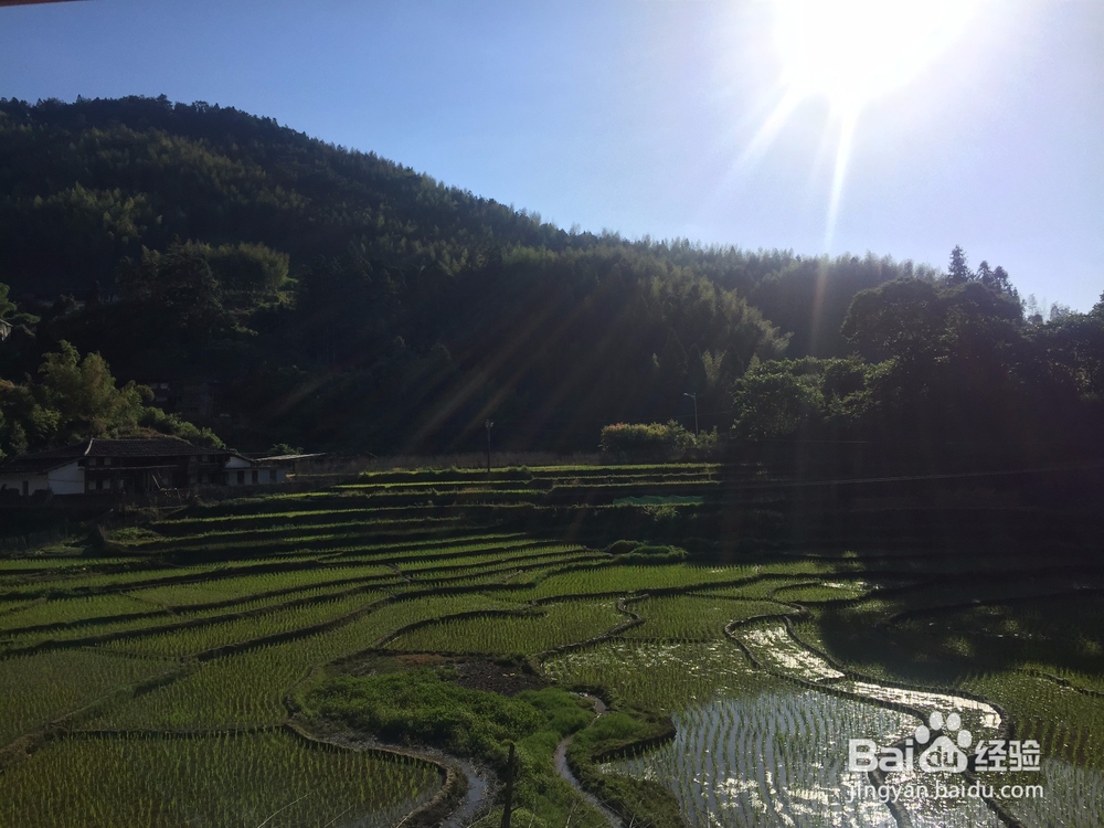 如何保持对工作的热情
