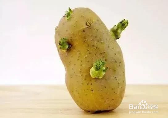 大蒜、洋葱、生姜、土豆发了芽还能吃吗？