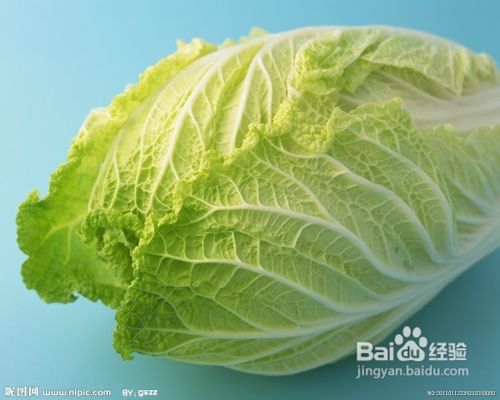 秋冬白菜减肥方法食谱一周快速瘦6斤。
