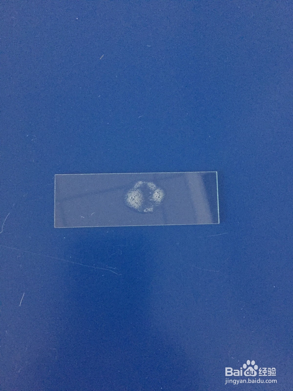 显微镜的使用视频