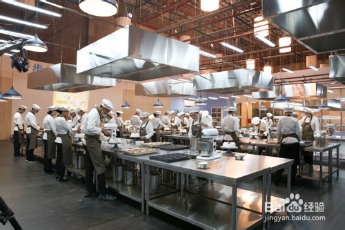 初中毕业生学什么专业好